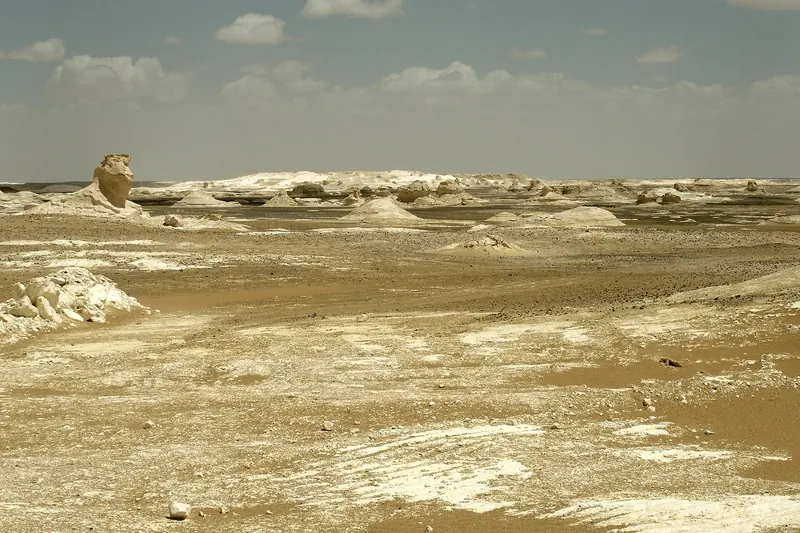 Sunset light on the White Desert's rock formations