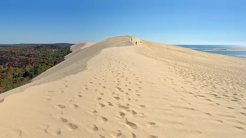 The summit of the Dune du Pilat, with the Atlantic and the pine forest below