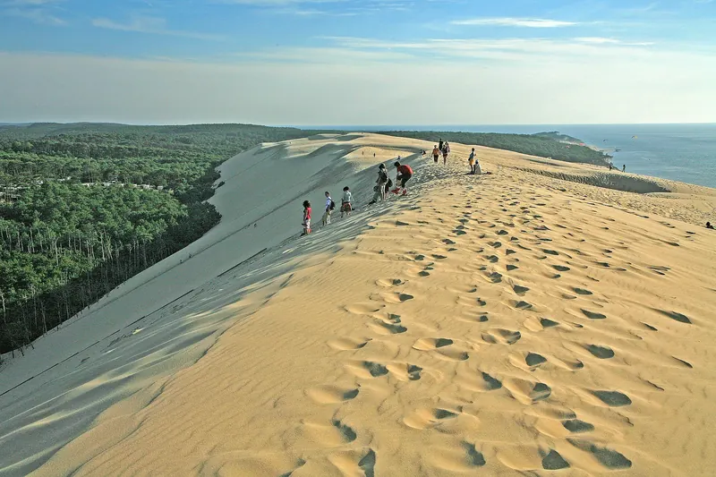 The sweep of the Dune du Pilat against the pine forest