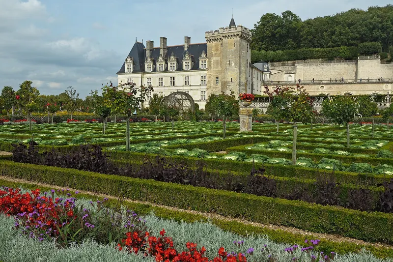 The geometric Renaissance parterres of the gardens at Château de Villandry