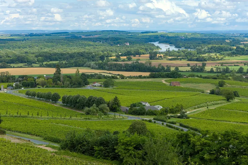 Vineyards on the slopes around Sancerre
