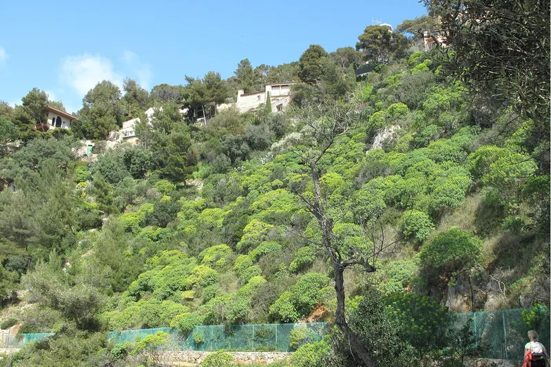 The sentier du littoral running around the rocky shore at Saint-Jean-Cap-Ferrat