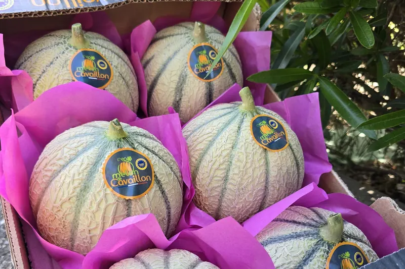 Melons de Cavaillon, small and orange-fleshed