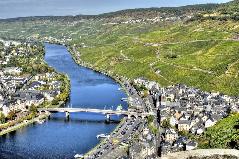 Terraced vineyards above the Mosel valley near Bernkastel-Kues