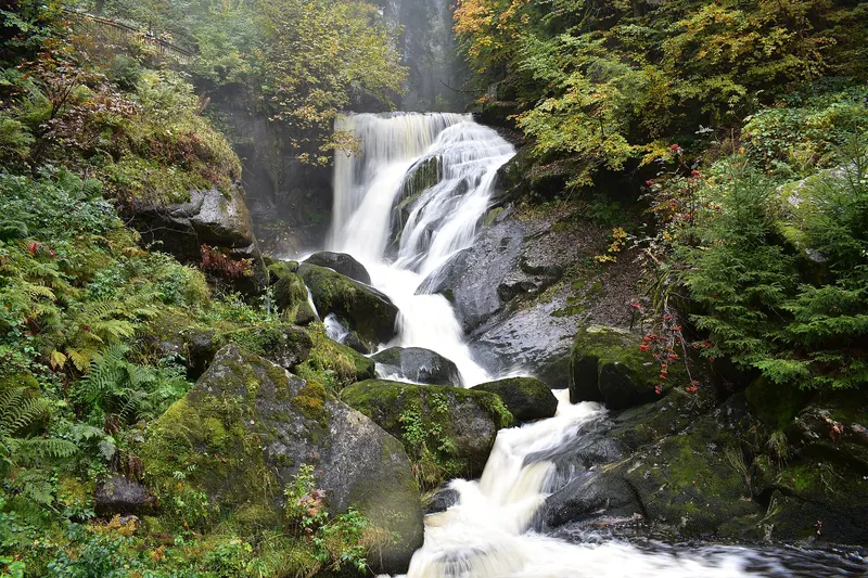 Triberg's waterfall cascading through the forest