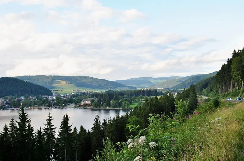 The forest-ringed Titisee lake
