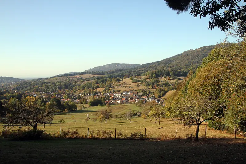 A view over a Black Forest village from a hiking trail