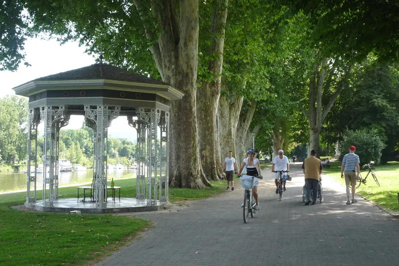 Cyclists on the tree-lined Rhine cycle path near Koblenz