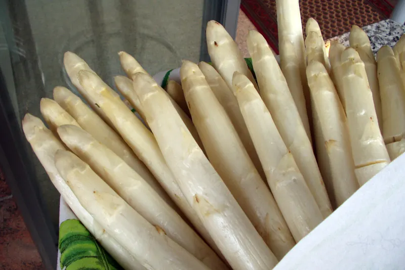White asparagus, a regional spring speciality across Baden and the Palatinate