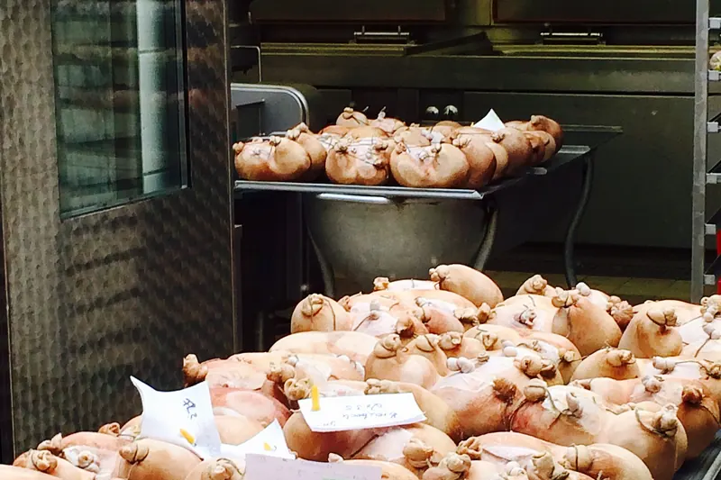 Saumagen, a Palatinate specialty of seasoned pork and potato roasted in a stuffed casing