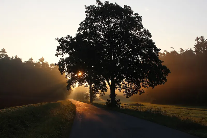 A quiet rural road through the Bavarian countryside