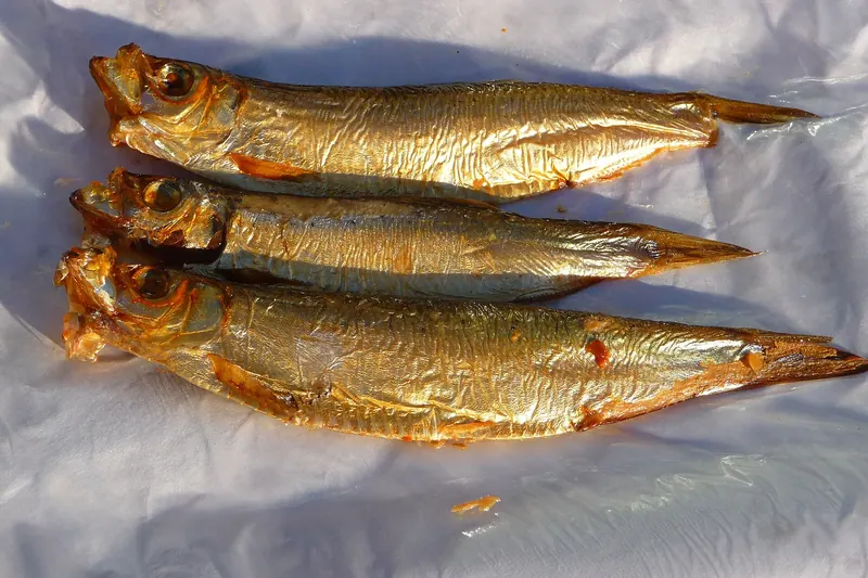 Smoked Baltic sprats, a traditional regional catch