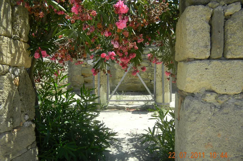 The ruins of the ancient city of Kamiros