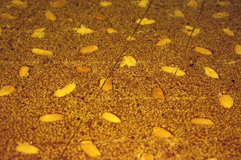 Melekouni, a dense sesame and honey sweet