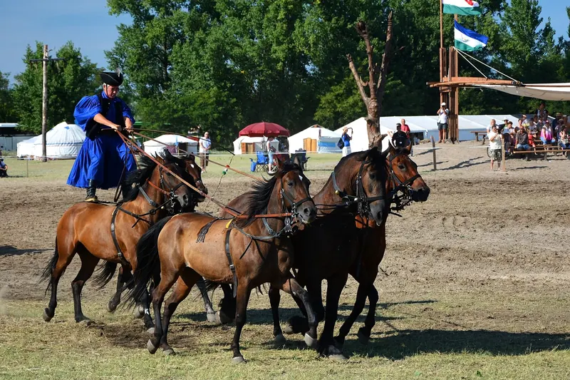 Horses on the open grassland of the Hortobágy puszta