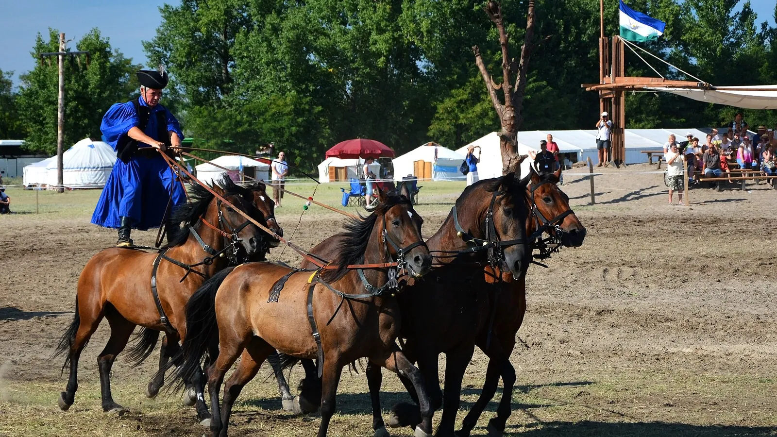 Horses on the open grassland of the Hortobágy puszta