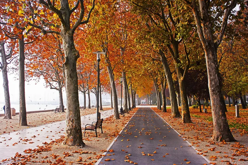 The tree-lined Tagore Promenade in Balatonfüred in autumn