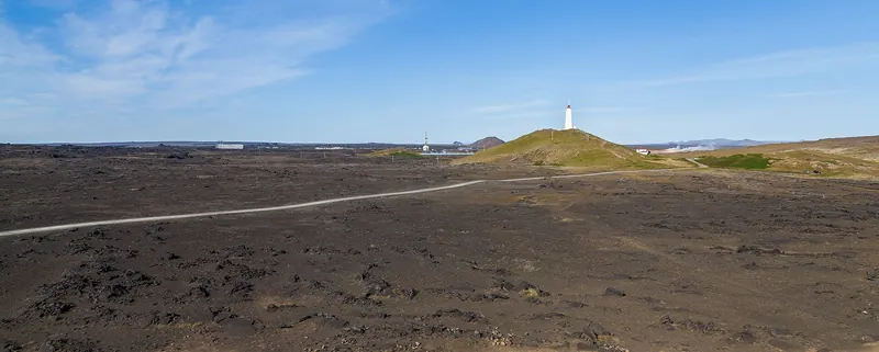 Seabirds along the cliffs near Reykjanesviti