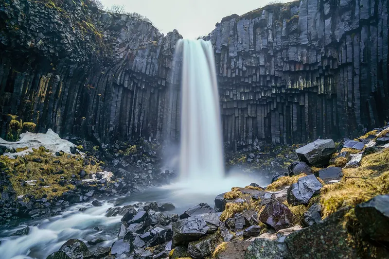 Svartifoss waterfall framed by dark hexagonal basalt columns