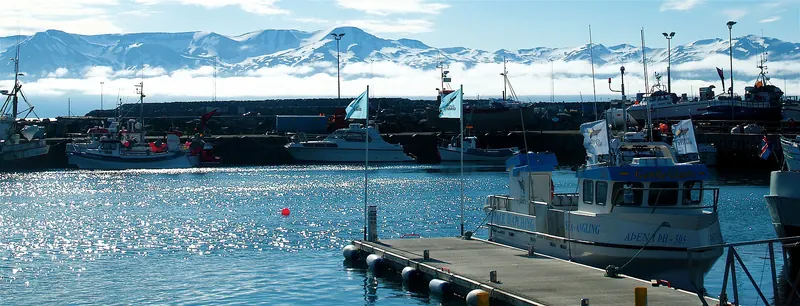 The harbour at Húsavík, Iceland's whale-watching capital