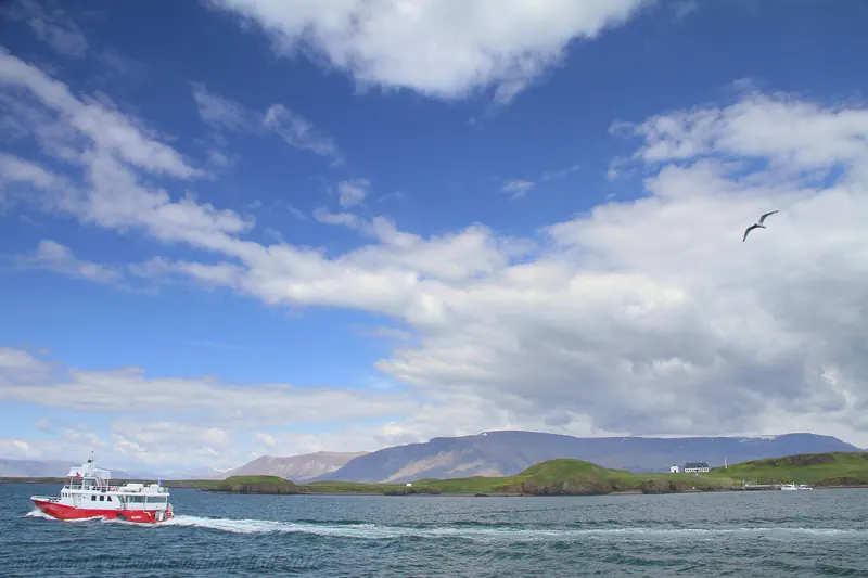 A whale-watching boat off the Icelandic coast