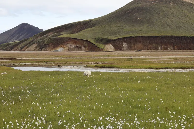The colourful rhyolite mountains of Landmannalaugar in Iceland's highlands