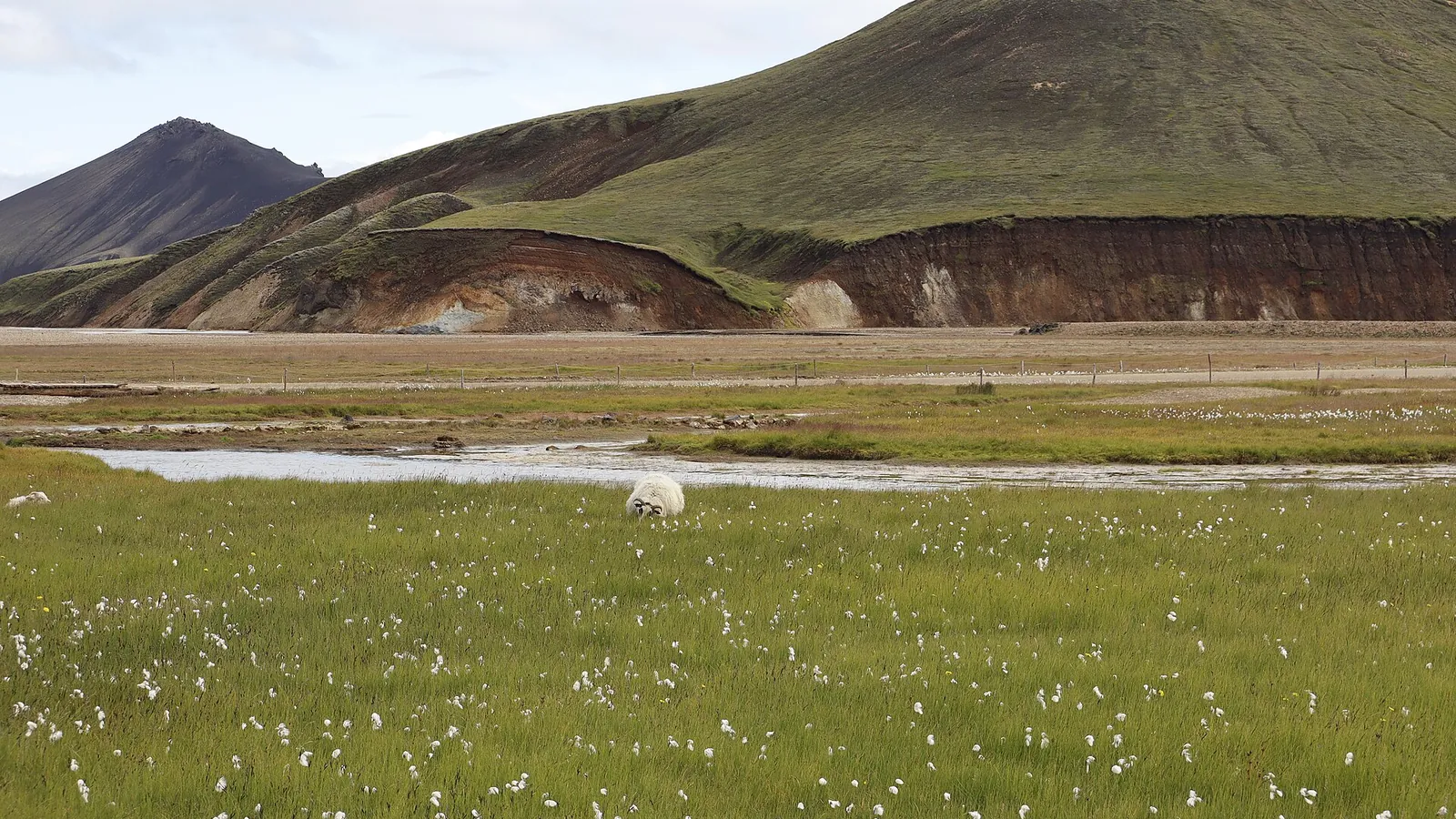 The colourful rhyolite mountains of Landmannalaugar in Iceland's highlands