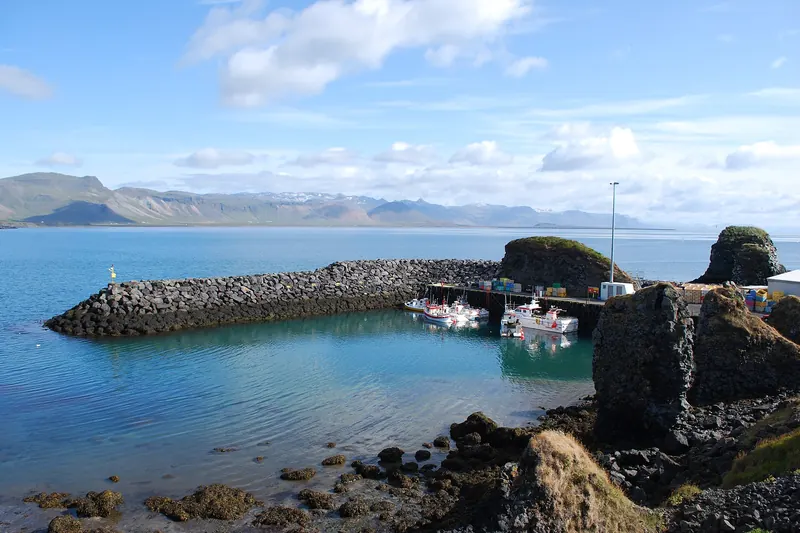 The coastal path near Arnarstapi