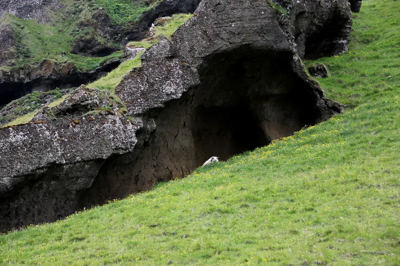 The green valley of Herjólfsdalur ringed by cliffs