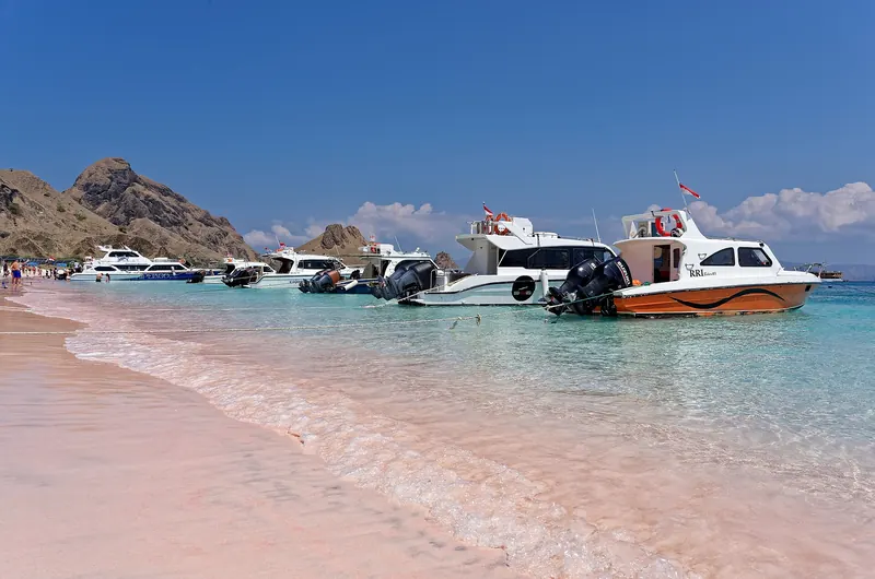 The rose-tinted sand of Pink Beach in Komodo National Park