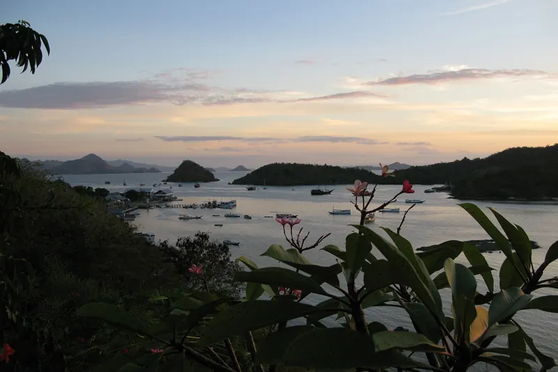 Boats moored in the harbour at Labuan Bajo, Flores