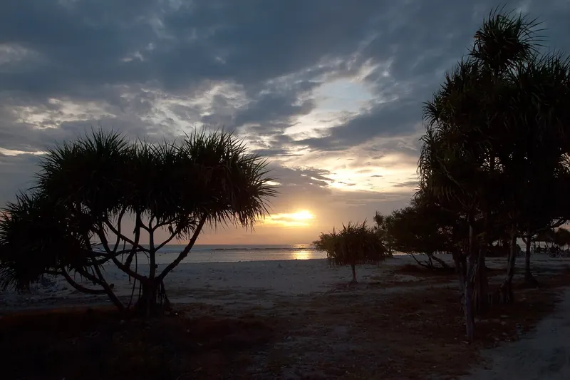 Palm trees at sunset on Gili Trawangan island