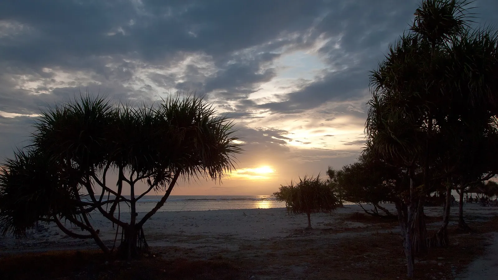 Palm trees at sunset on Gili Trawangan island