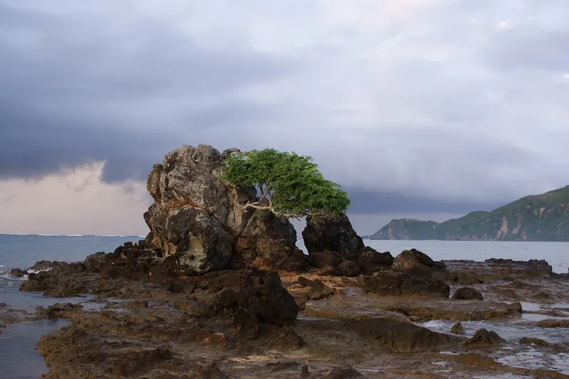 The beach at Kuta, a surf town in southern Lombok