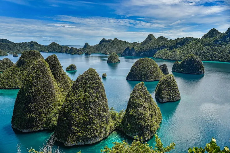 The karst islands of Wayag in northern Raja Ampat