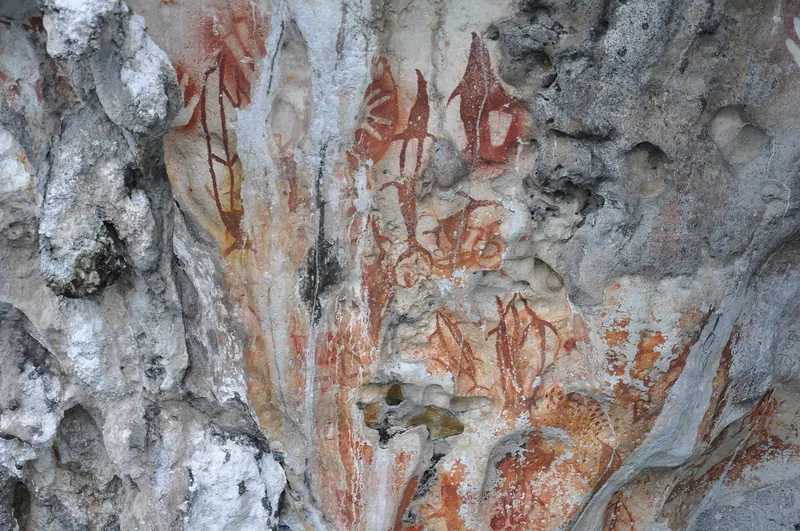 Ancient rock art paintings on limestone cliffs at Misool