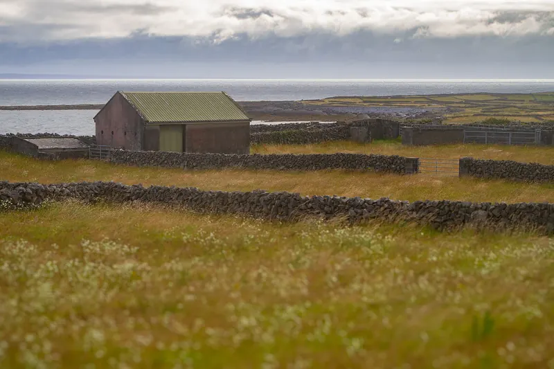 The dense network of stone walls covering Inis Mór