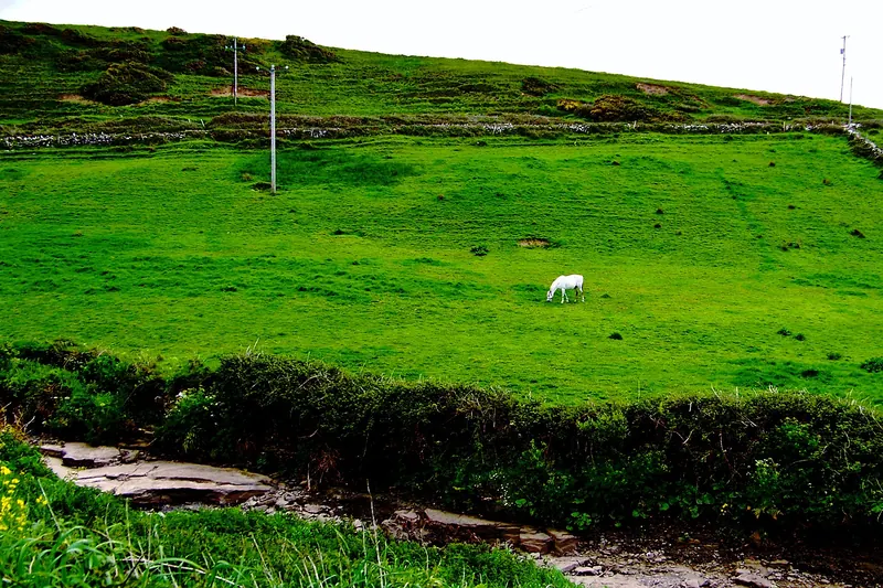 A traditional music pub in Doolin village