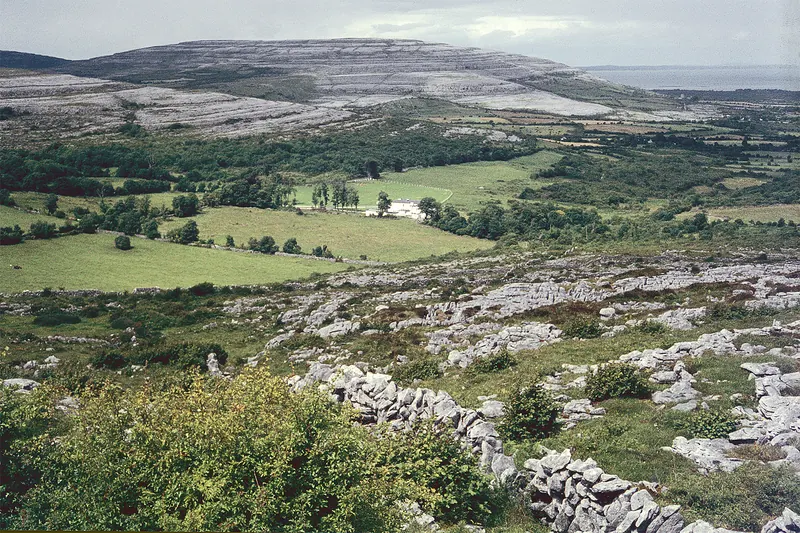 A road crossing the open limestone plateau of the Burren
