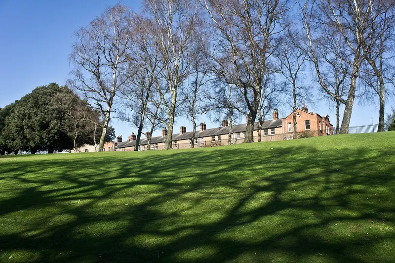 The open parkland of Phoenix Park in Dublin