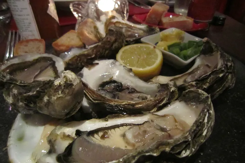A plate of fresh oysters, an Irish coastal specialty