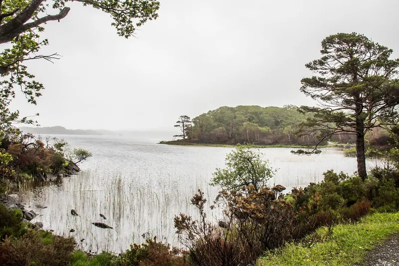A boat on one of the Lakes of Killarney