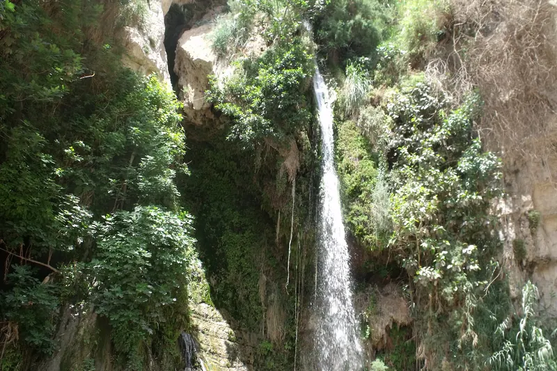A waterfall and pool in the Ein Gedi nature reserve