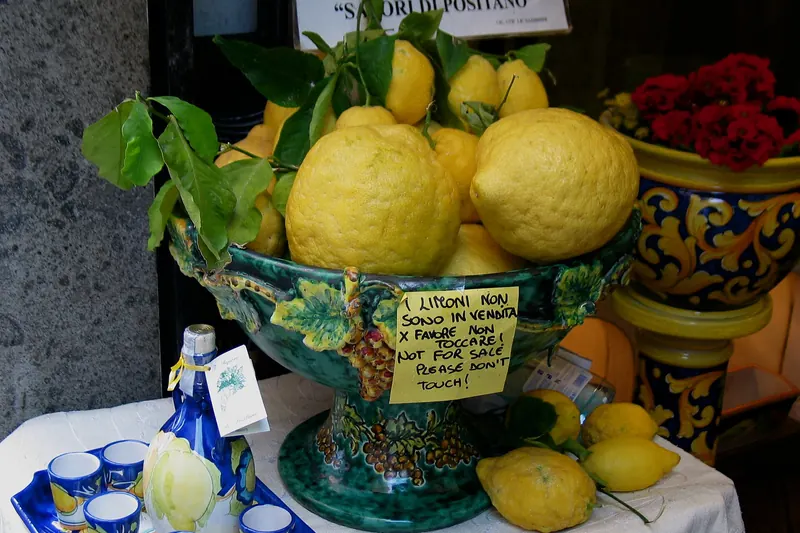 Amalfi lemons and a bottle of limoncello made from them