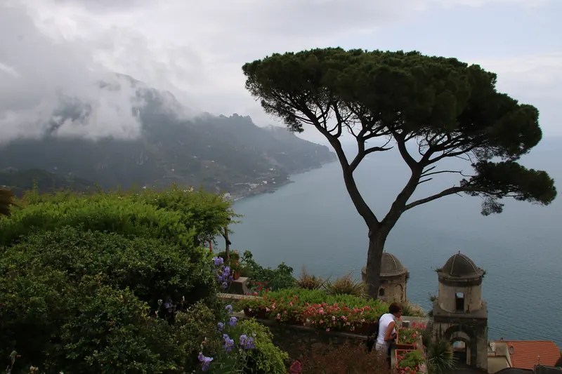 An umbrella pine framing the terrace gardens of Villa Rufolo at dusk