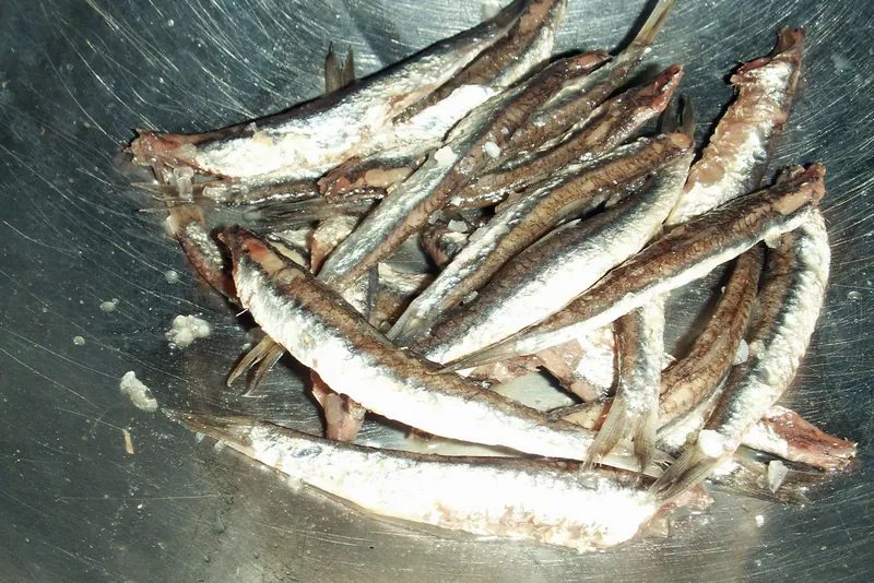 Salted anchovies from Monterosso, a protected local speciality