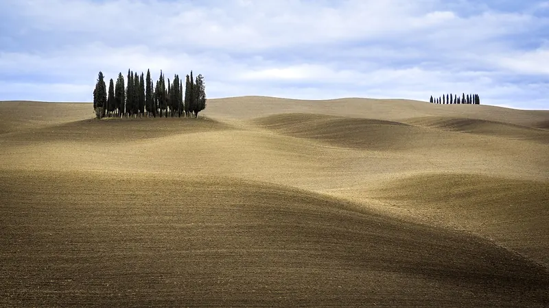 A row of cypress trees along a winding road through the Val d'Orcia