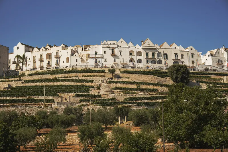 Locorotondo, the circular white town on a hill in the Valle d'Itria