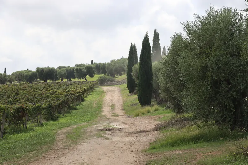 A converted masseria, a fortified farmhouse, in the Puglian countryside