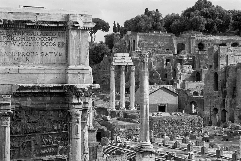 Columns and ruins of the Roman Forum with the Palatine Hill rising behind them